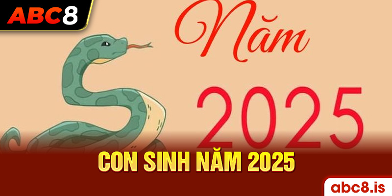 Con sinh năm 2025 mệnh gì?