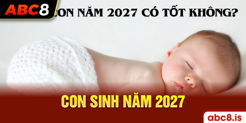 Câu hỏi con sinh năm 2027