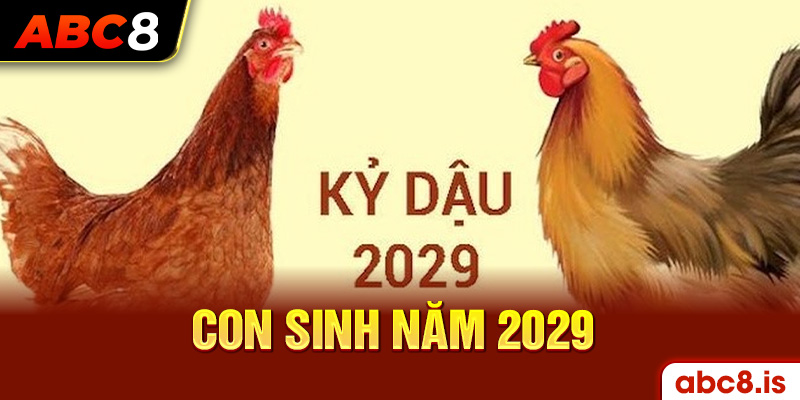 Đôi nét về con sinh năm 2029