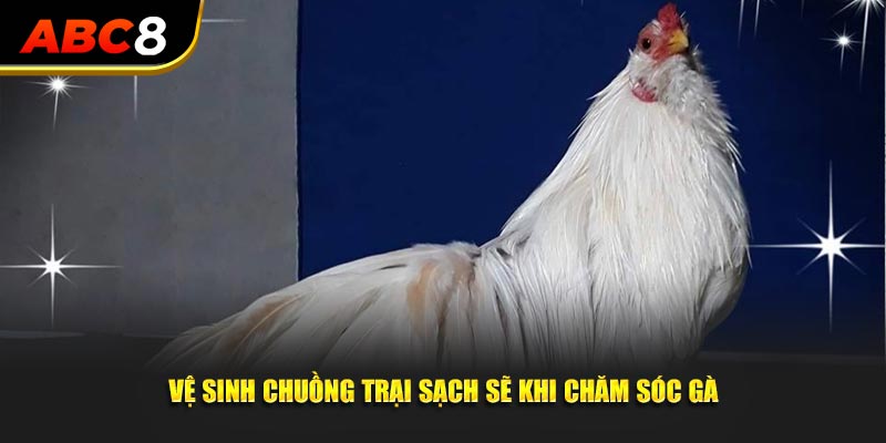 Vệ sinh chuồng trại sạch sẽ khi chăm sóc gà